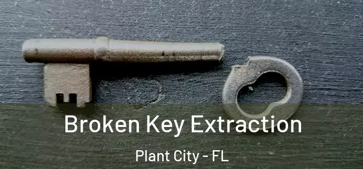  Broken Key Extraction Plant City - FL