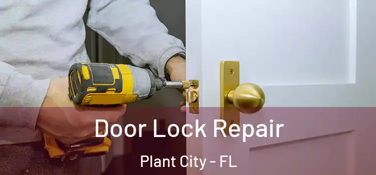  Door Lock Repair Plant City - FL