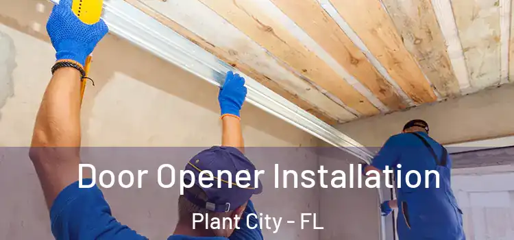  Door Opener Installation Plant City - FL