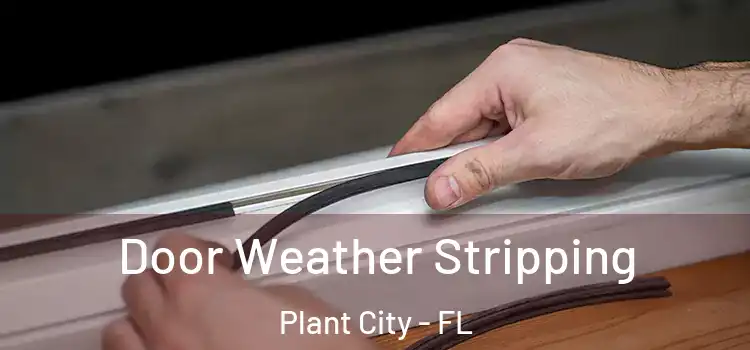  Door Weather Stripping Plant City - FL