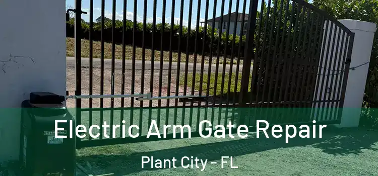  Electric Arm Gate Repair Plant City - FL