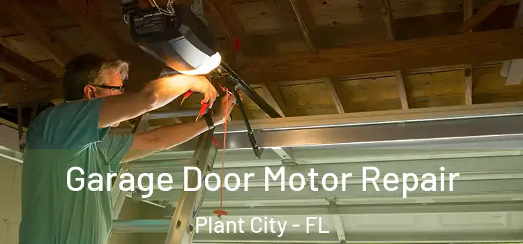  Garage Door Motor Repair Plant City - FL