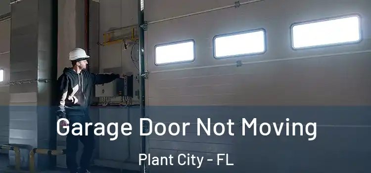  Garage Door Not Moving Plant City - FL