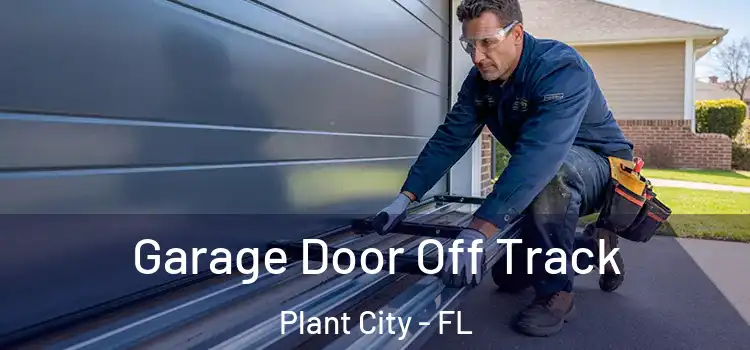  Garage Door Off Track Plant City - FL
