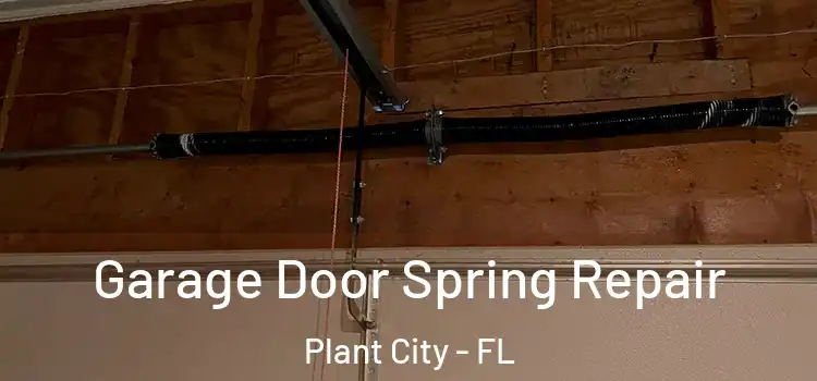 Garage Door Spring Repair Plant City - FL