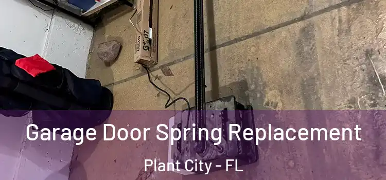  Garage Door Spring Replacement Plant City - FL