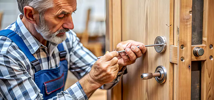 Mortise Replacement Lock Plant City