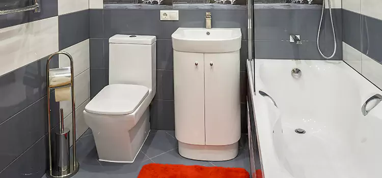 Hansgrohe Shaving Mirror Plant City