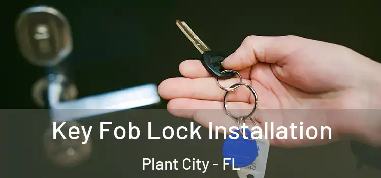  Key Fob Lock Installation Plant City - FL