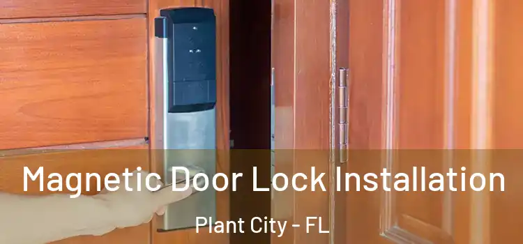  Magnetic Door Lock Installation Plant City - FL