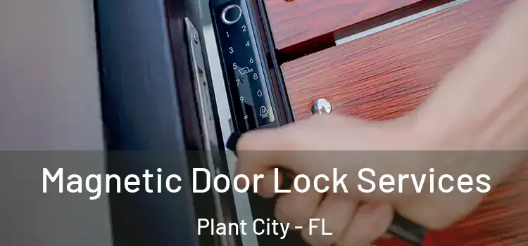  Magnetic Door Lock Services Plant City - FL