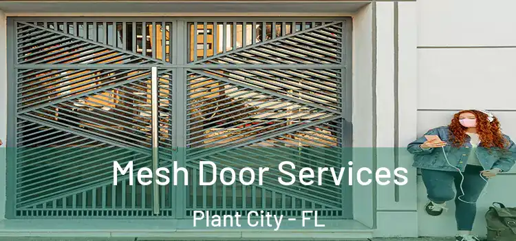  Mesh Door Services Plant City - FL