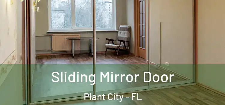  Sliding Mirror Door Plant City - FL